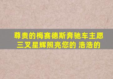 尊贵的梅赛德斯奔驰车主愿三叉星辉照亮您的 浩浩的